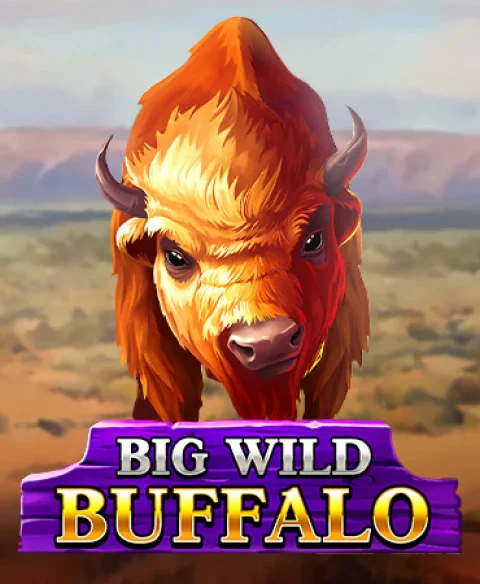 Play Big Wild Buffalo at Apuestamos Casino